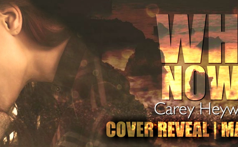 Cover Reveal ~ Why Now? ~ by ~ Carey Heywood