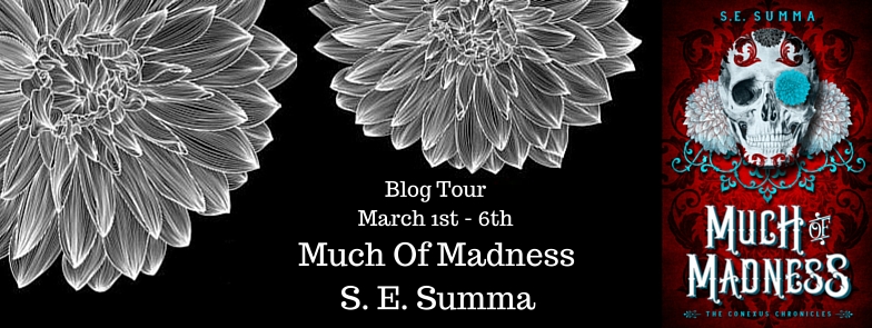 Blog Tour ~ Much of Madness ~ by ~ S.E. Summa