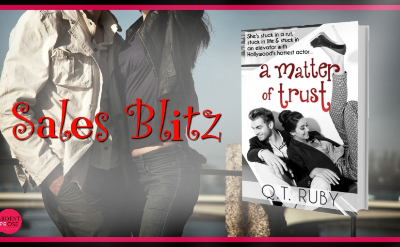 Sales Blitz ~ A Matter of Trust ~ by ~ Q.T. Ruby